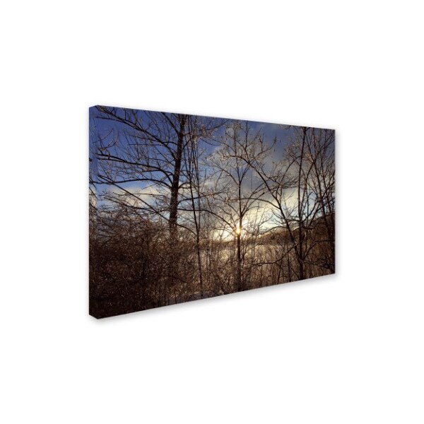 Jason Shaffer 'South Amherst Quarries' Canvas Art,30x47